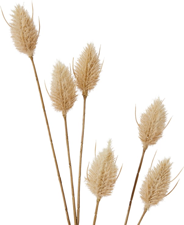 Bunny Tail Spray Beige - 71cm color Beige