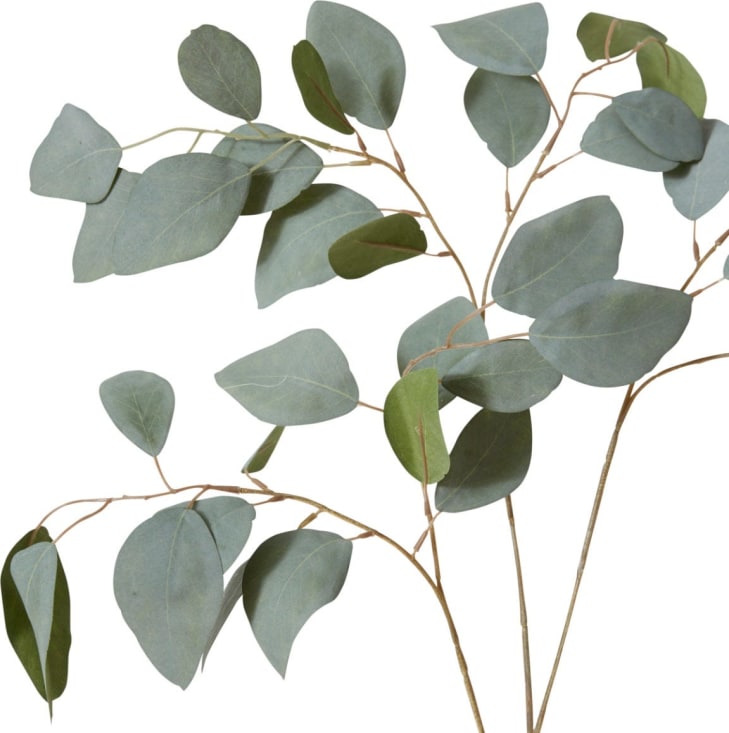 Eucalyptus Spray - 50 x 36 x 93cm 