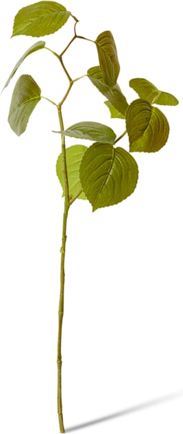 Hydrangea Leaf Spray - 29 x 20 x 74cm