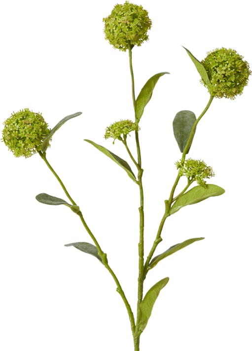 Alyssum Spray - 17 x 12 x 66 cm color Green