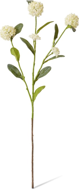 Alyssum Spray - 17 x 12 x 66 cm color White