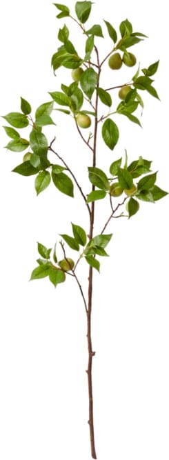 Fruit Branch - 119cm color Green