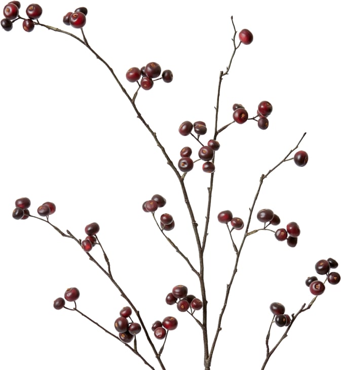 Berry Branch Burgundy - 105cm color 68194202