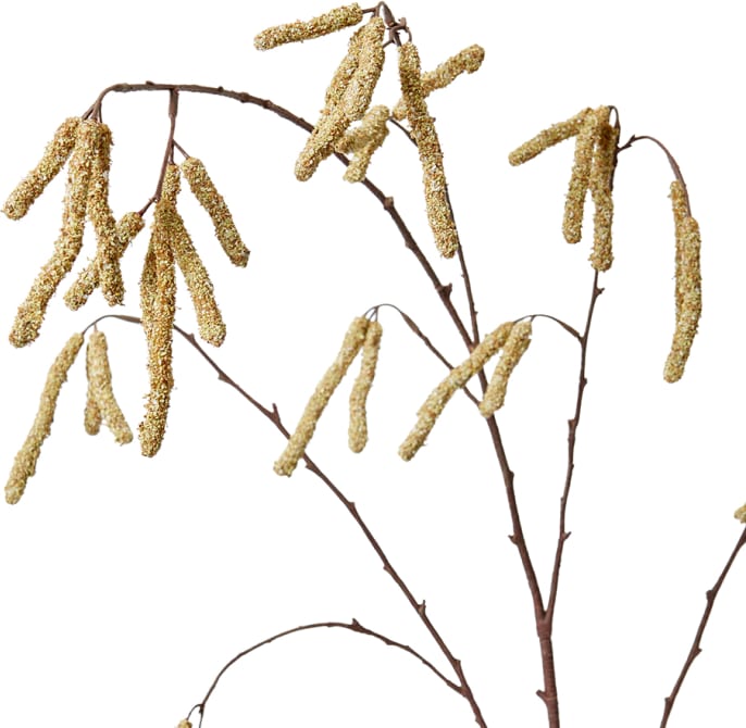 Catkins Spray - 40 x 38 x 109cm 