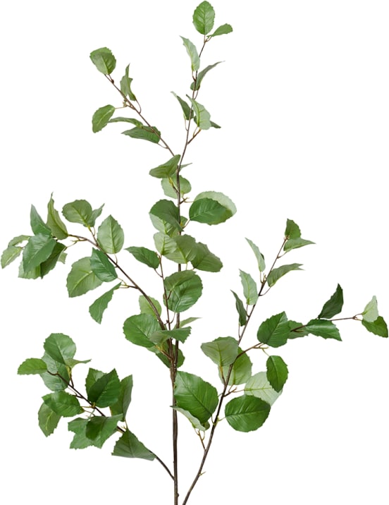 Leaf Spray - 40cm x 22cm x 122cm 