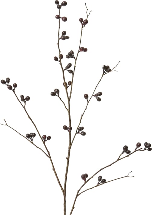 Bean Branch - 103cm color 68194202