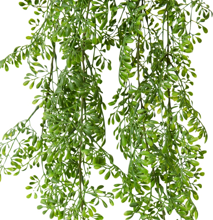 Rue Hanging Bush - 24 x 16 x 89cm 