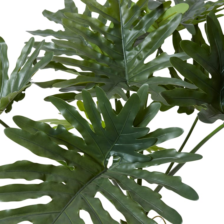 Split Philo Plant Potted - 170cm color 68194202