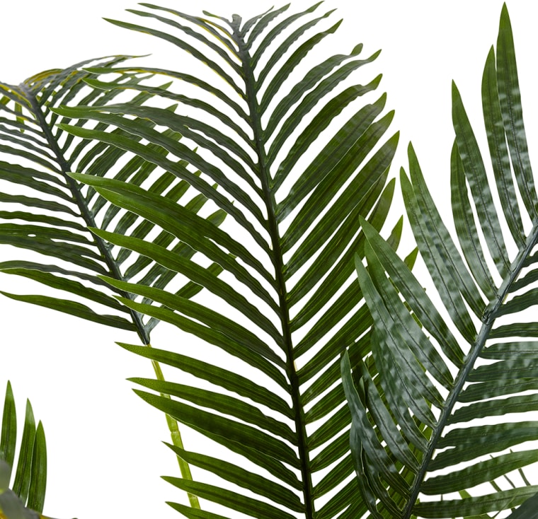 Areca Palm Potted Plant Green - 110cm x 110cm x 170cm color Green