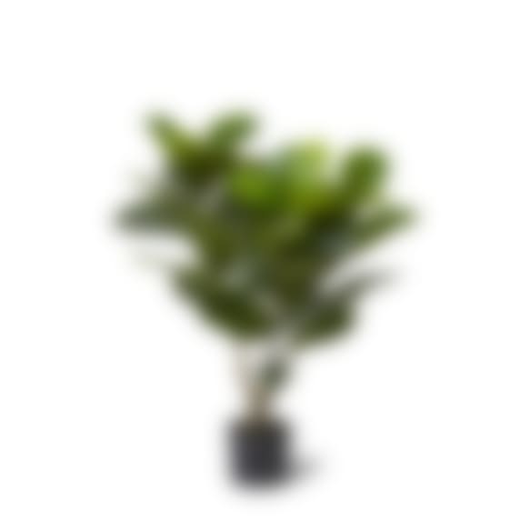 Fiddle Leaf Fig Potted Plant Green - 50cm x 50cm x 90cm color Green