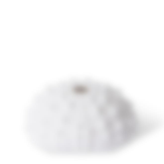 Shell Sea Urchin - 9 x 8 x 5cm 