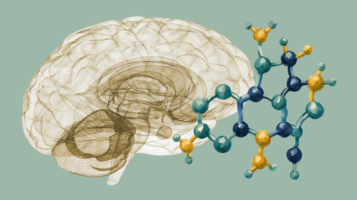 How Hormones Affect Alzheimer's & Cognitive Health