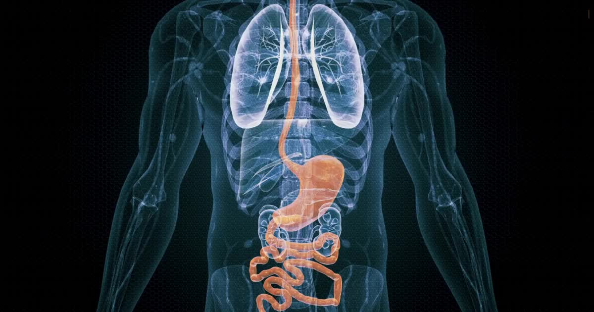 Digestive Disorders