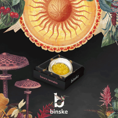 Binske social media content