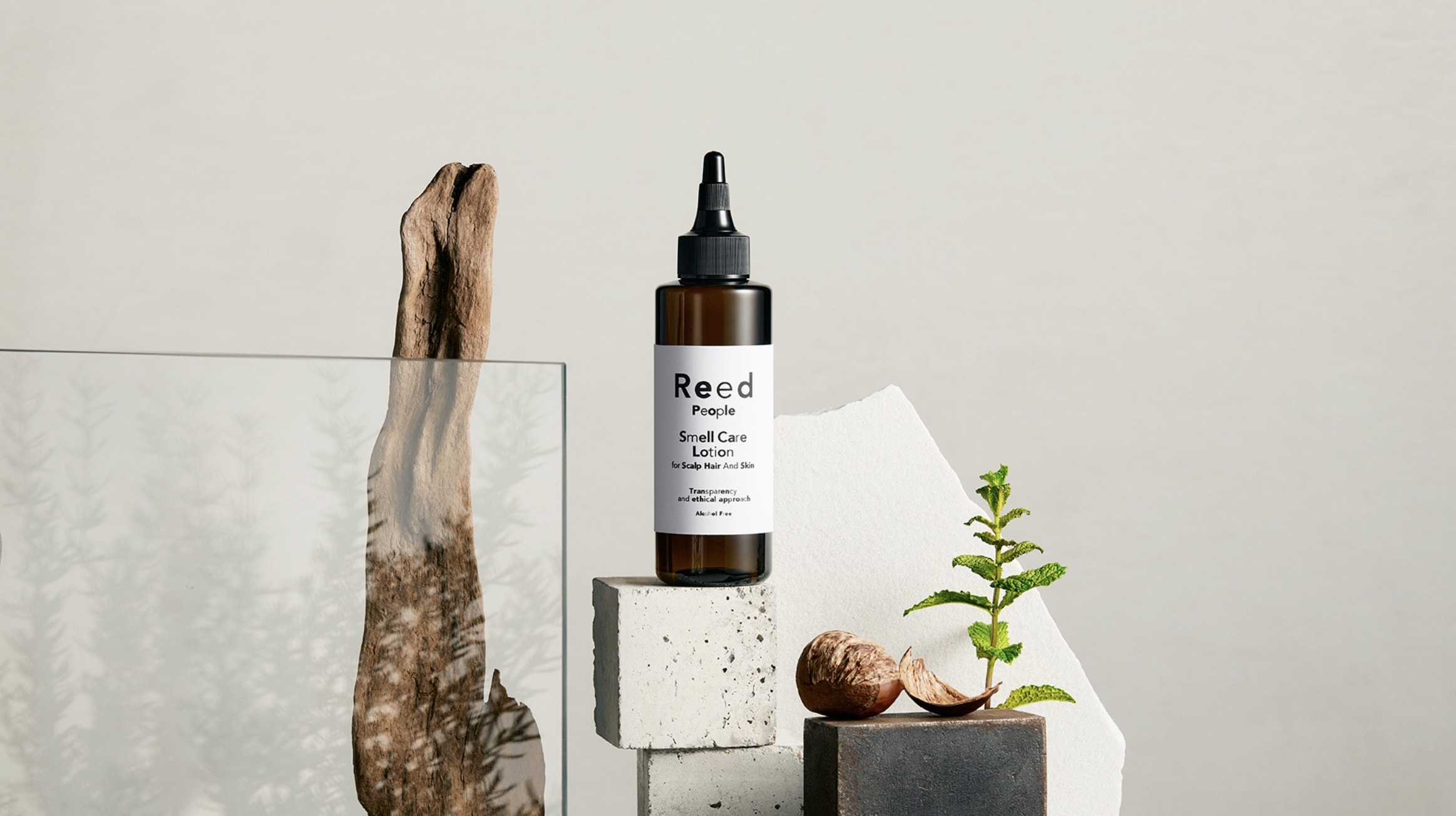 REED Shampoo