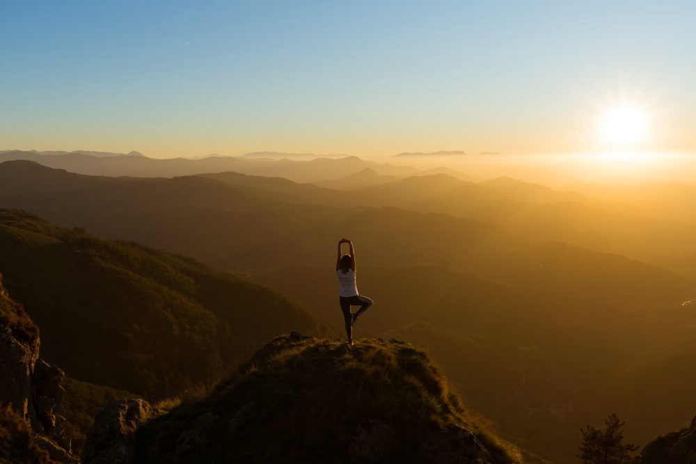 ID Studios London - Yoga and Sattvic Living
