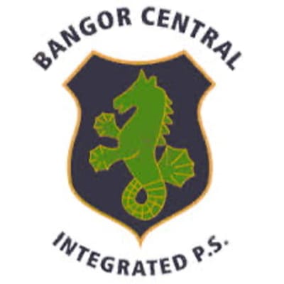 Bangor Central P1-P3