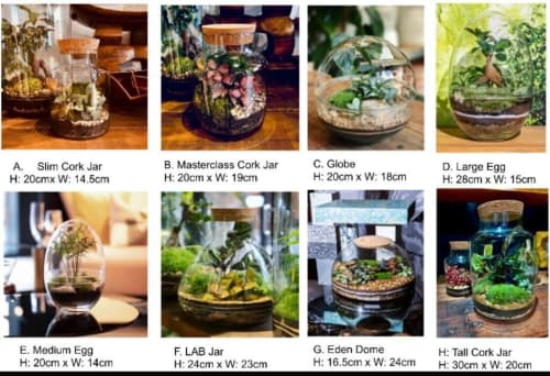Terrarium Masterclass — photo 2
