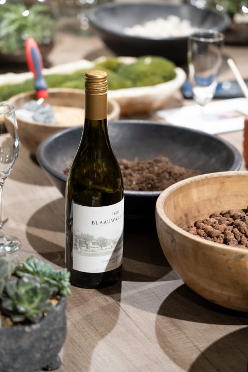 Sip & Plant — photo 2