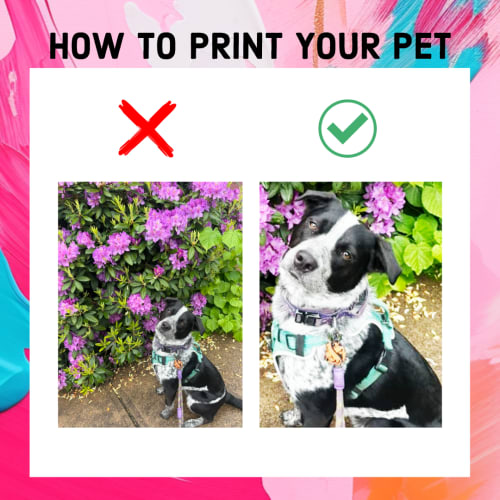 Paint Your Pet — photo 5