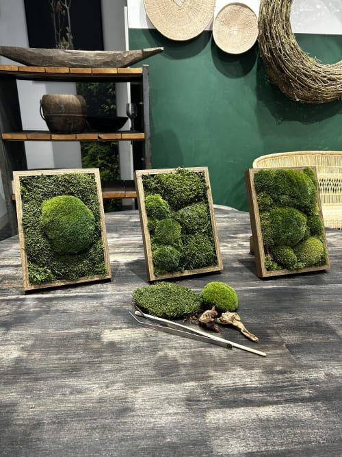 Preserved Moss Art Workshop — photo 2