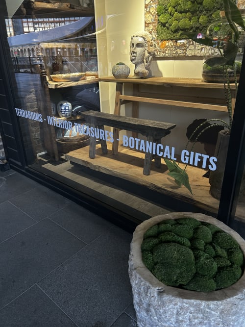 Preserved Moss Art Workshop — photo 5