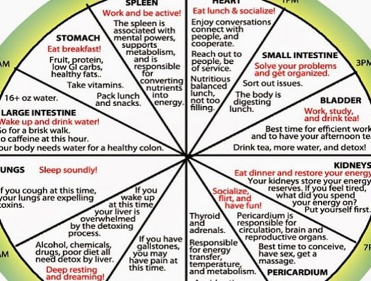 Follow up Consultation (Session 2)