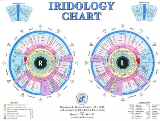 Monthly Maintenance Session