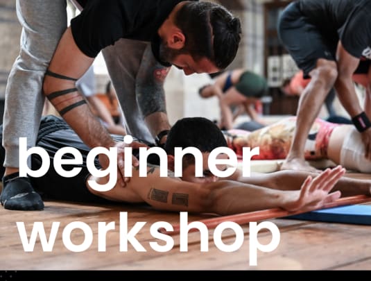 Beginner Handstand Workshop