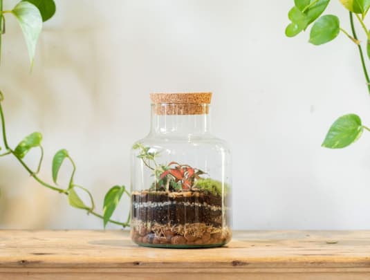 Terrarium Workshop - Slim Cork Jar