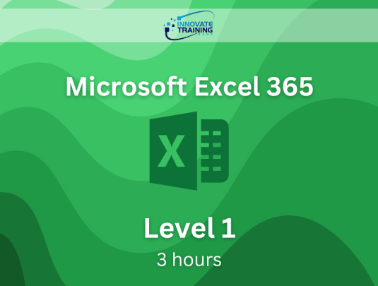 Microsoft Excel 365 - Level 1