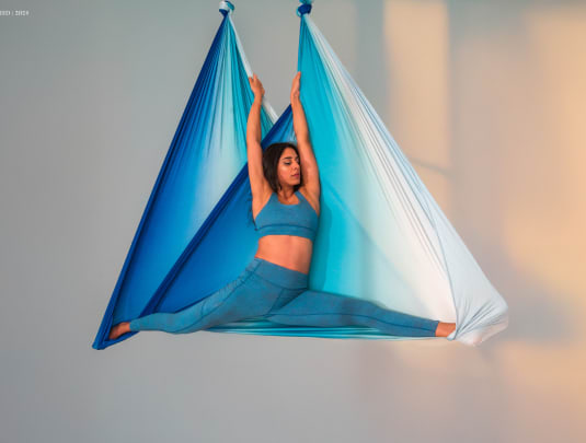 Aerial Hammock or Hoop Private