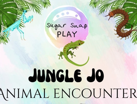 Jungle Jo’s wild adventure 🐍 🌴 🕷️ 