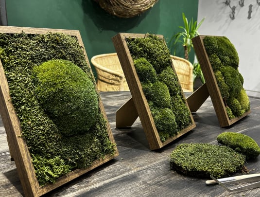 Preserved Moss Art Workshop