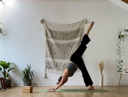 Fluid Vinyasa Flow and Stretch with Katie