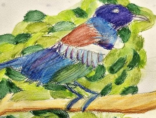 Lets Draw & Paint with Susannah MacDonald 