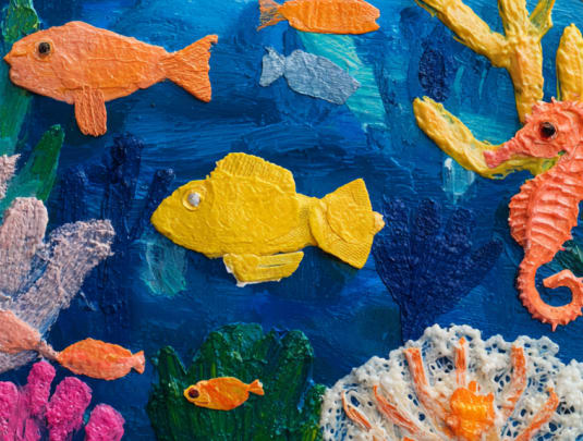 Marine Reserves - Guardians of the Ocean with Sonja Drake