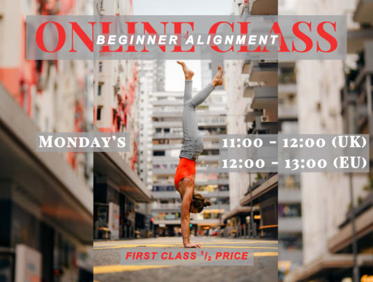 MONDAY - BEGINNER AlIGNMENT CLASS