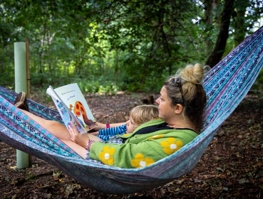 Woodland Wellbeing for Families – 7-Session Seasonal Journey