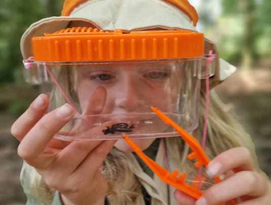 Woodlandwise Holiday Camps