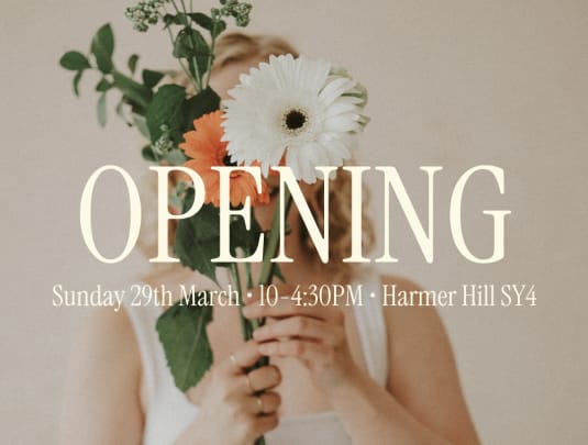 Opening 🌱 Day Retreat