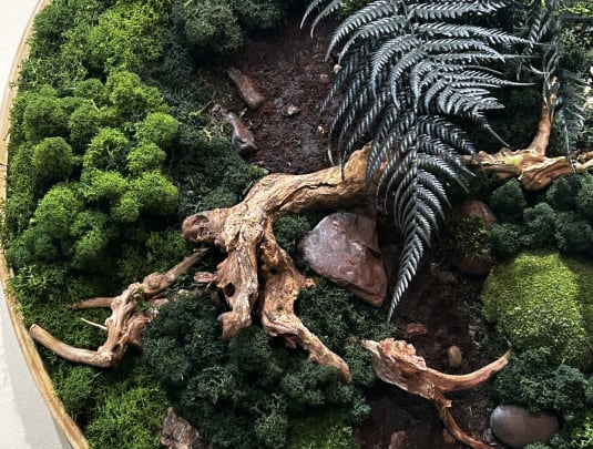 Preserved Moss Art Workshop