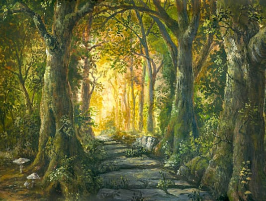 Into the Forest with Emmie Wu
