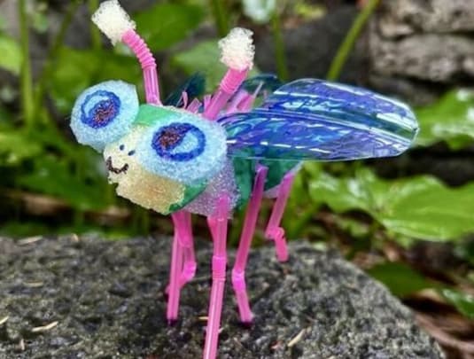 Bug Friends with Emmie Wu 