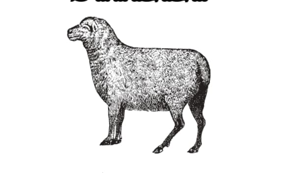 Sheep Shop