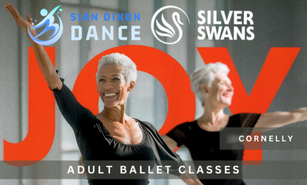 Improvers - Cornelly Public Hall - Silver Swans