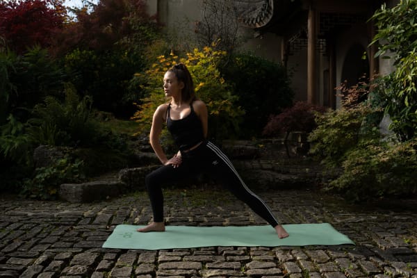 Gentle & Vinyasa Yoga Class