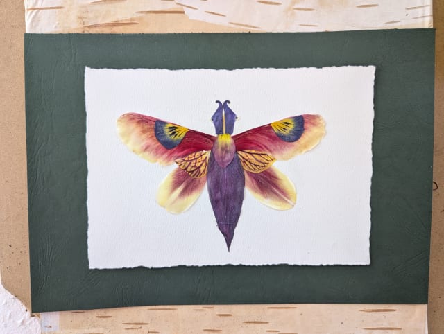 Create a trio of pressed flower note cards