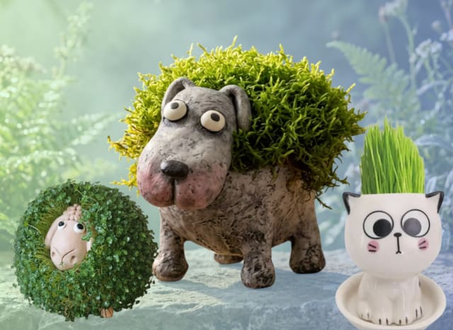 Chia Seed Pottery Pet with Michelle O'Loughlin 
