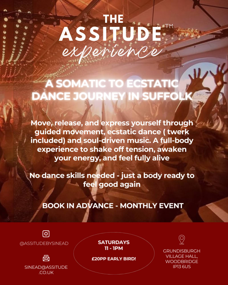 The Assitude Experience — photo 1
